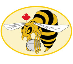 Hamilton Hornets
