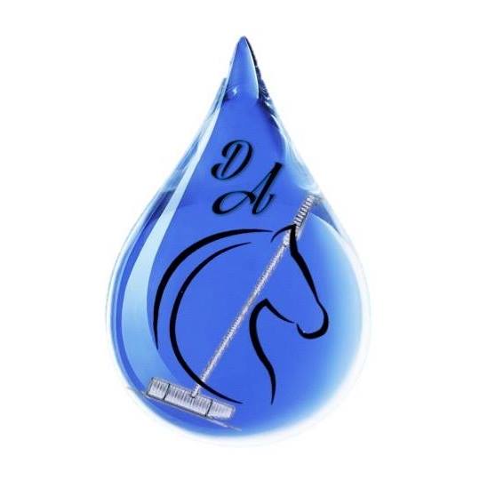 Don Augusto Polo Club