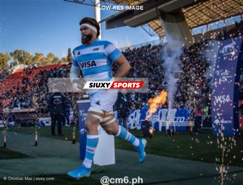 2024 - Los Pumas - Argentina (13) vs (28) Francia