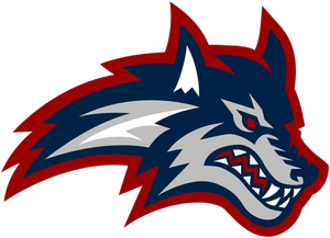Seawolves Stony Brook University