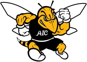 American International College Athletics