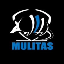 Mulitas