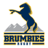 Brumbies